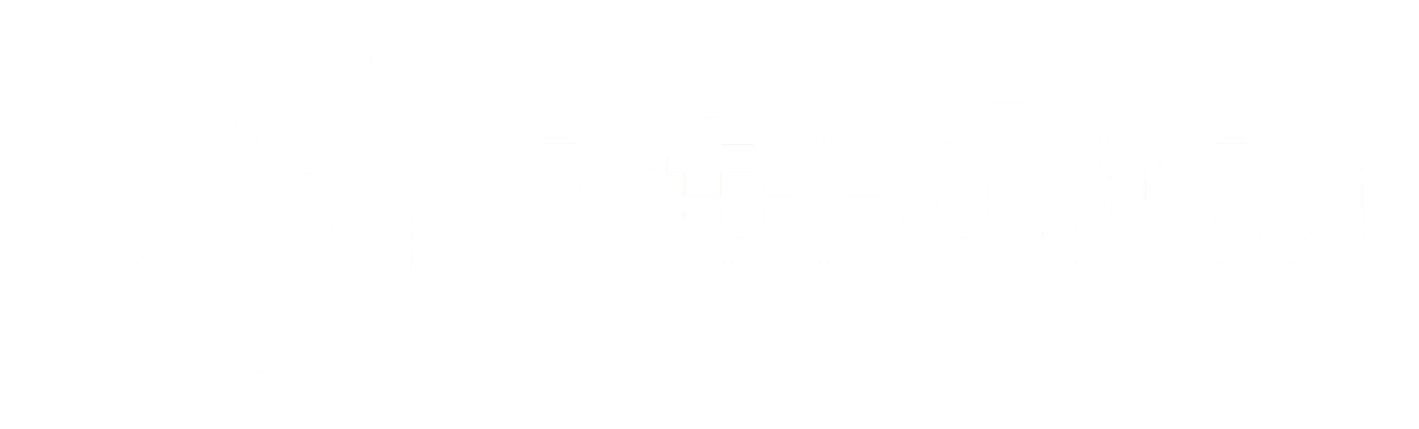Intodata logo-header-white-transparent Intodata Nederland